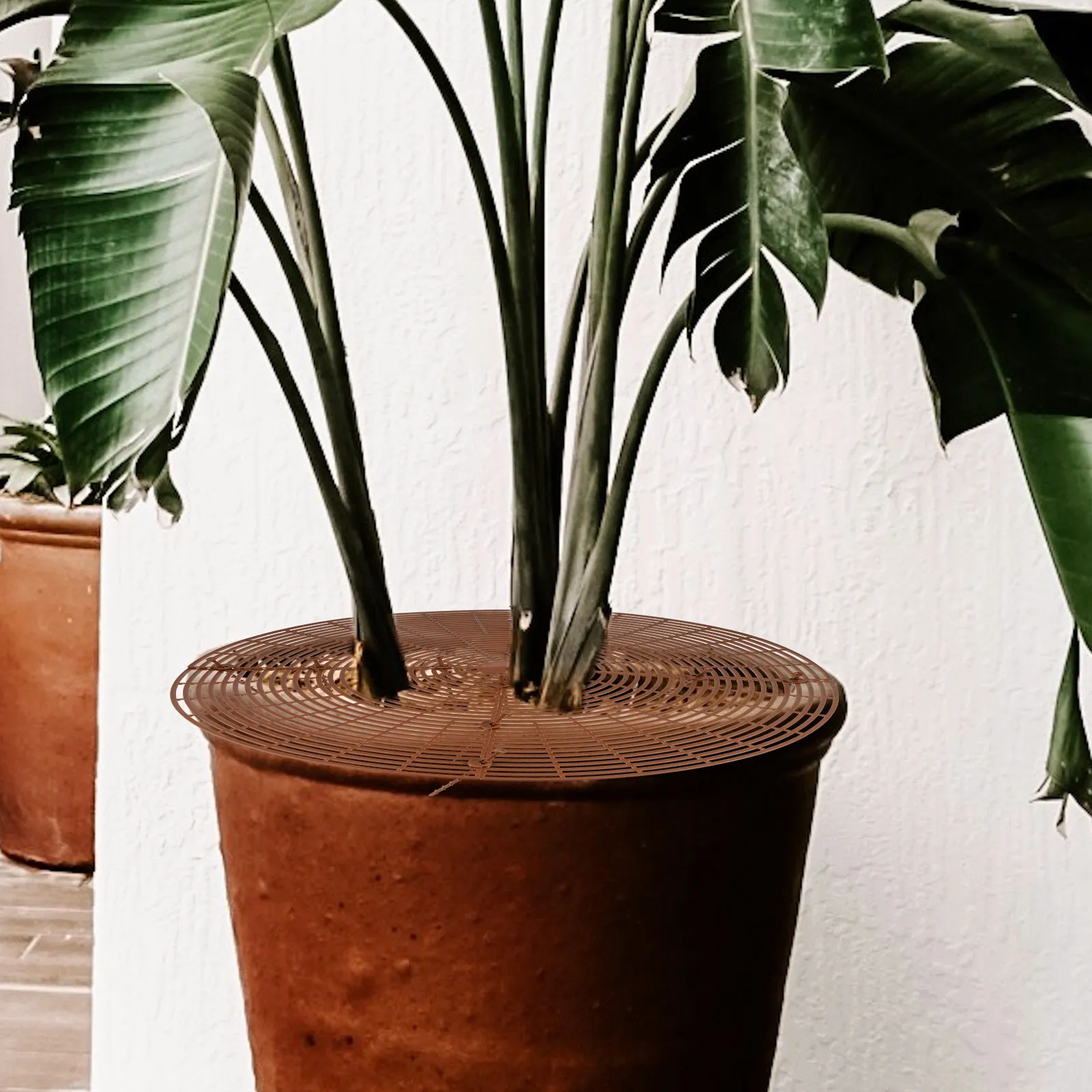 

Прочная разрезаемая пластиковая сетка для защиты цветочных горшков и почвы, для садов, домов, офисов, торговых центров, безопасность для бонсай