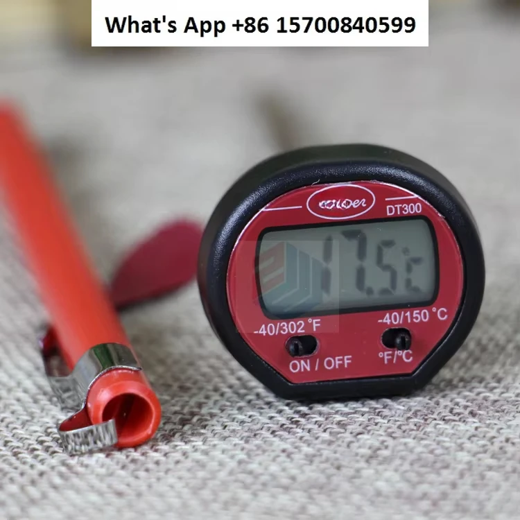 DT300 Electronic Thermometer with Probe Thermometer