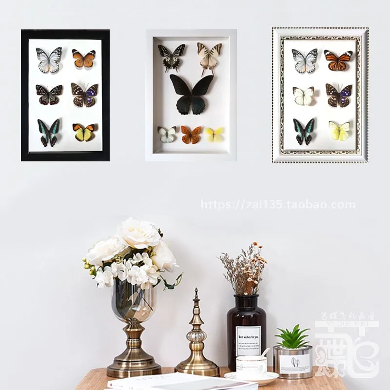 Real butterfly specimen frame, empty three-dimensional insect photo frame, craft decoration pendant, popular science teachingaid