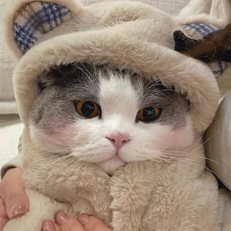 Autumn and Winter Warm Pet Dog Cat Plush Blanket Autumn and Winter Cloak Clothes Cute Bear Blanket Pad Cute Ear Hooded Coat