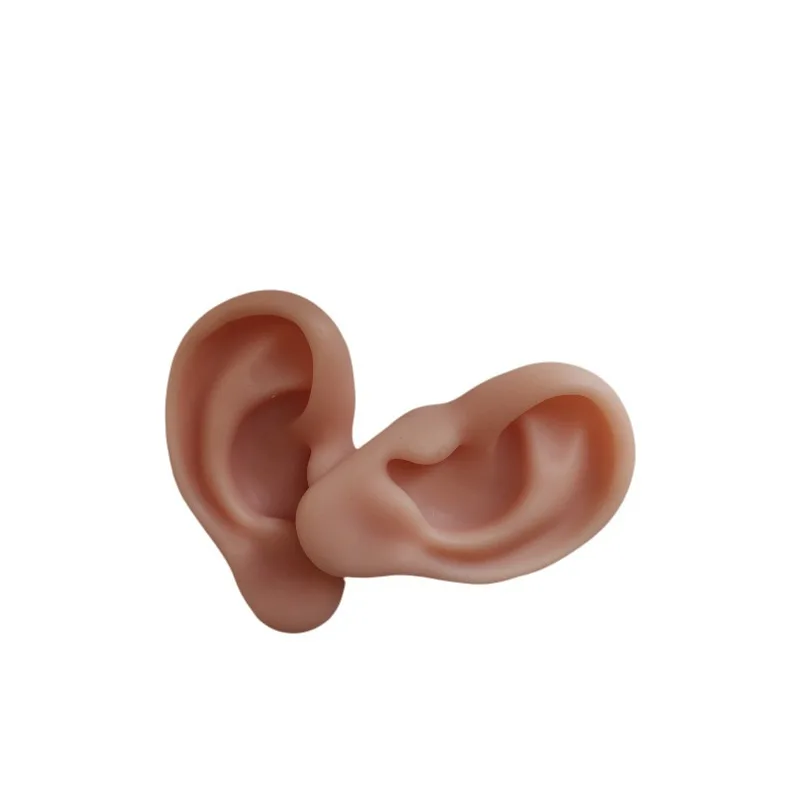 Ear model silicone simulation ear silicone fake ear model ear picking props learning primary