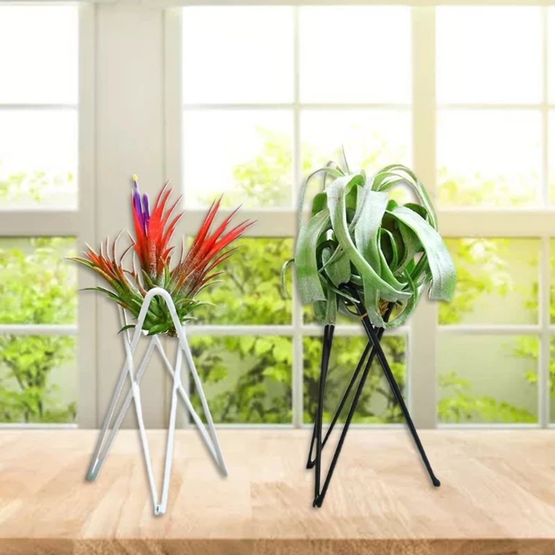 Air Plant Holder Metal Flower Pot Stand Geometric Iron Tillandsia Holder Art Display Home Garden Ornaments