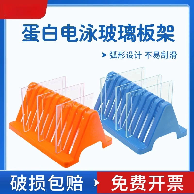 Shanghai Ximeng WB Protein Electrophoresis Made of Glue Plate Rack Drain Rack Drying Rack