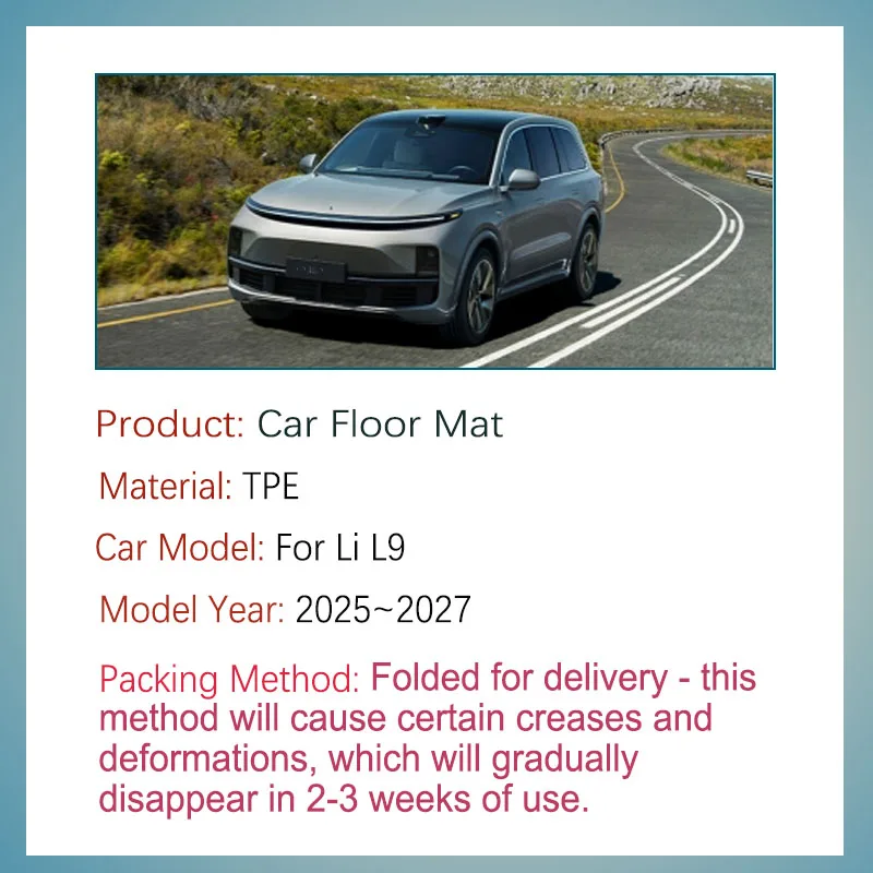 Luxury Car Floor Mats For Li L9 Ultra 6seat 2025 2026 2027 Waterproof Rugs Left Hand Drive Foot Pad Floor Cover Auto Accessories