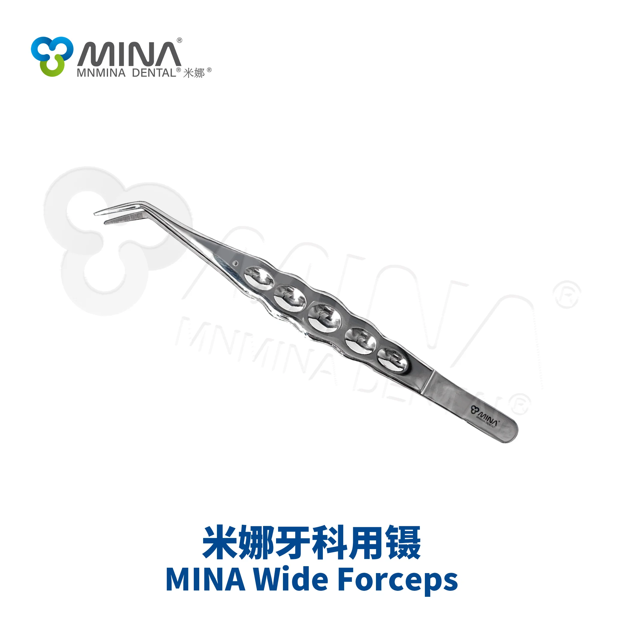 MINA Korean Import Manual Dental Surgical Instrument Wide Forceps Stainless Steel