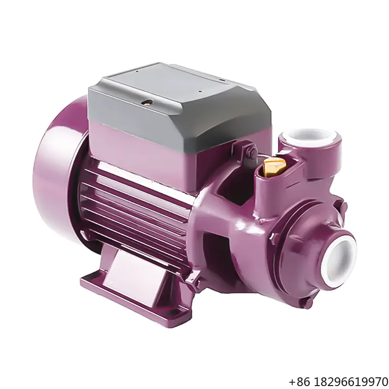 Fly Factory Price Support Custom Color Fixing Electric 0.5 QB60 0.75 QB70 1 QB80 Peripheral Automatic Clean Water Pump