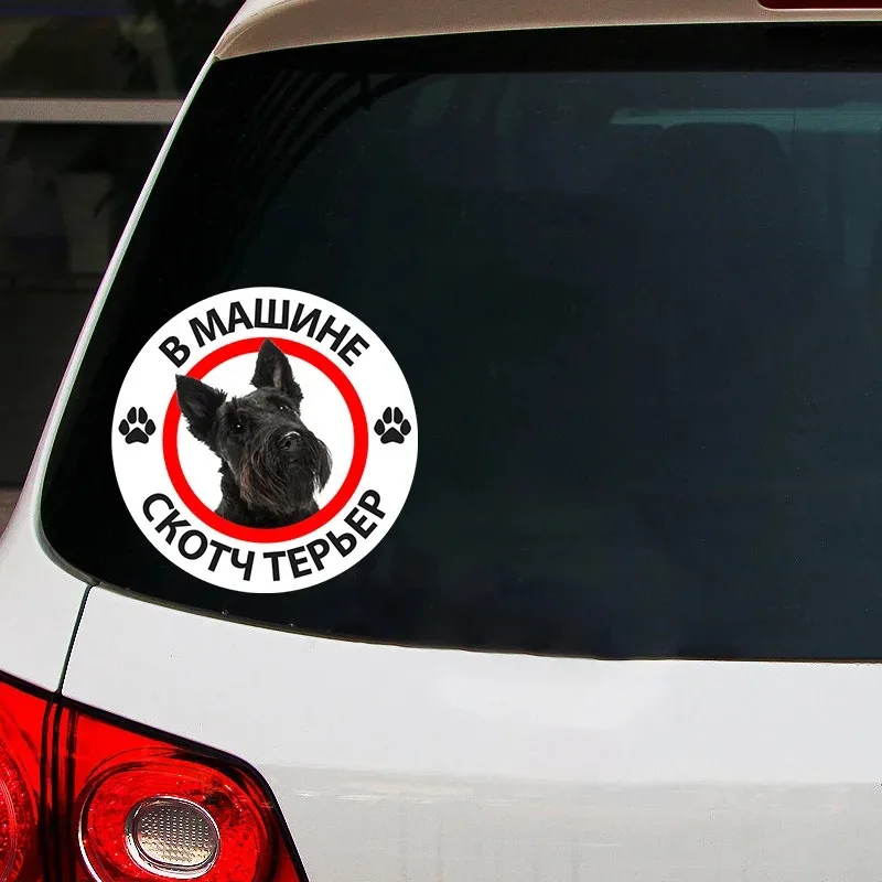 Pegatina autoadhesiva para coche, pegatina de Scotch Terrier en el coche, decoración impermeable para coche en parachoques, ventana trasera, PVC KK
