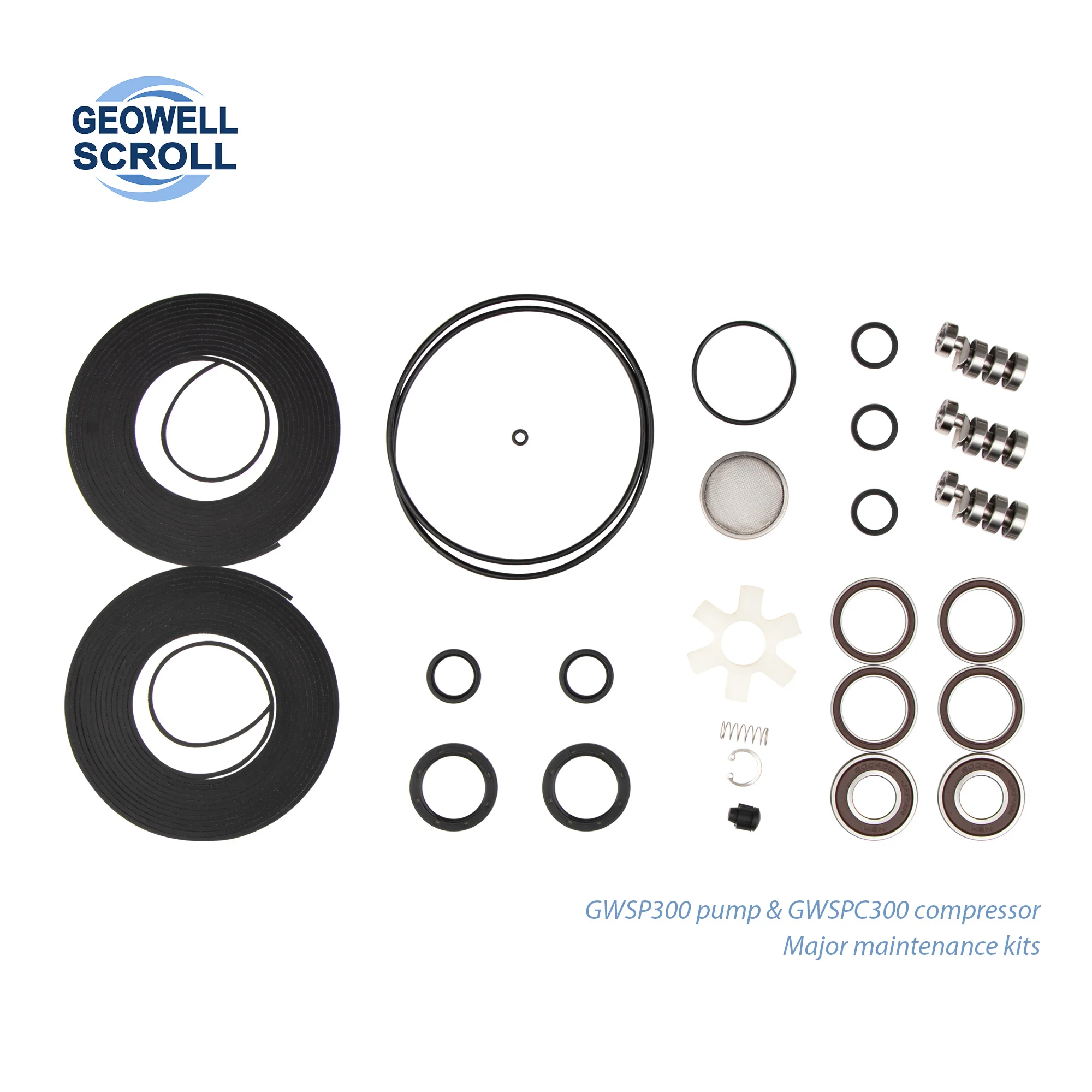 

GEOWELL GWMMK300 Model Major Maintenance Kits for GWSP300 and GWSPC300