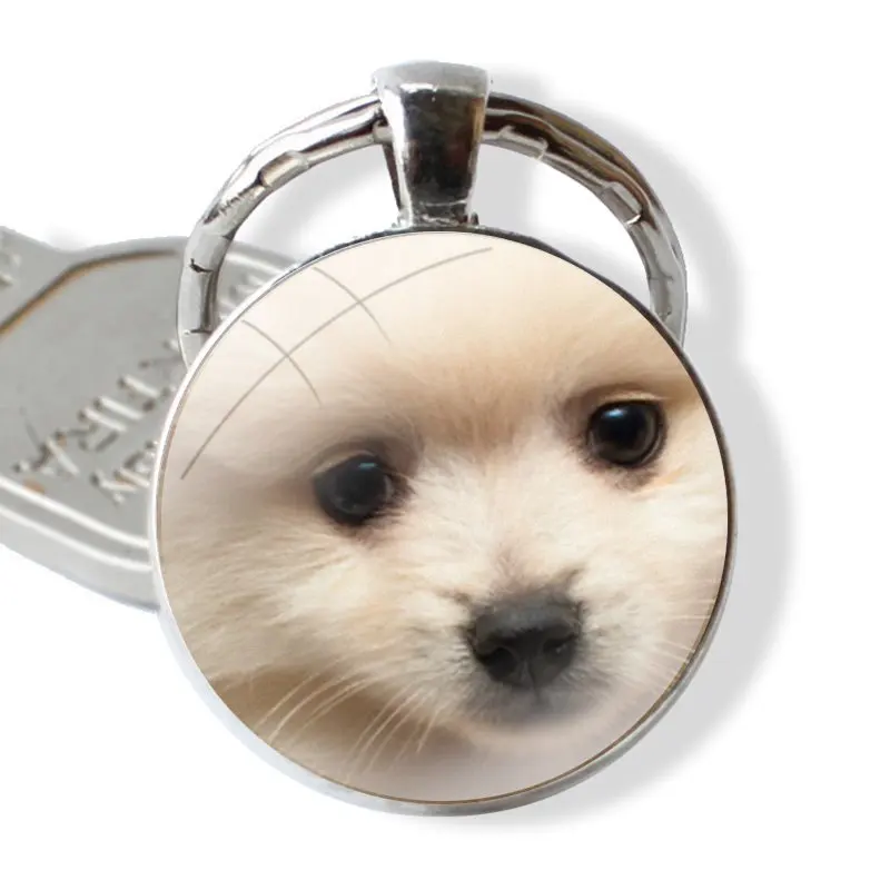 Keychain Handmade Glass Cabochon Key Ring Holder Pendant Key Chains Pomeranian dogs dog