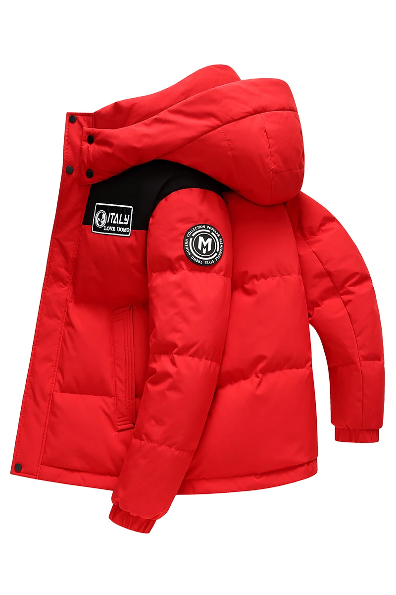 Winter New Men Hooded Short Puffer Jackets Thicker Warm Casual Duck Down Coats Male Outdoor Windproof Jackets