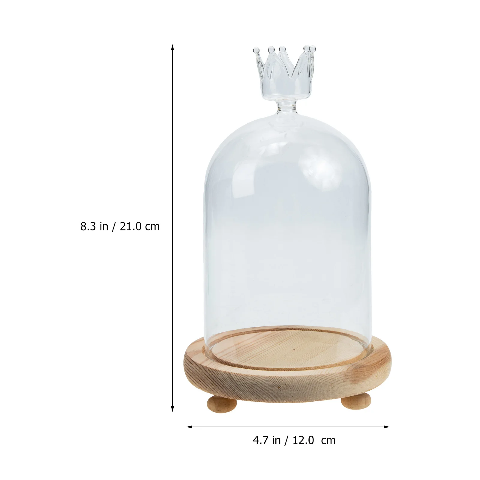 

Preserved Flower Glass Cover Dome Base Exquisite Romantic Design Indoor Outdoor Decor Micro Landscape Craft Desktop Accessory