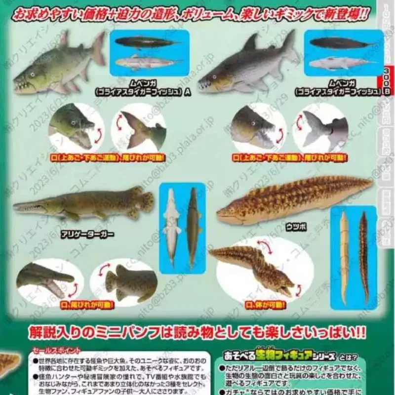 

Original Gashapon Kawaii Aciton Figure Artificial Alligator Fish Sea Eel Miniature Assembly Model Figurine Capsule Toys Gift
