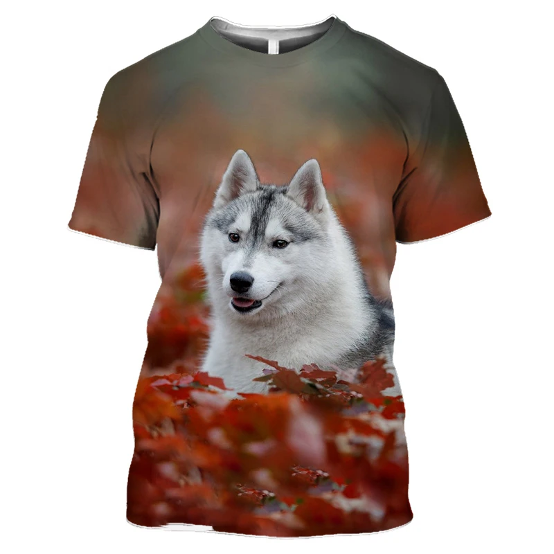 Cute Dog Siberian Husky 2022 Animal 3D Print T-shirt Men Women Tees Fun Pet  Tshirt Unisex Snowfield Maple Leaf Swim Clothes