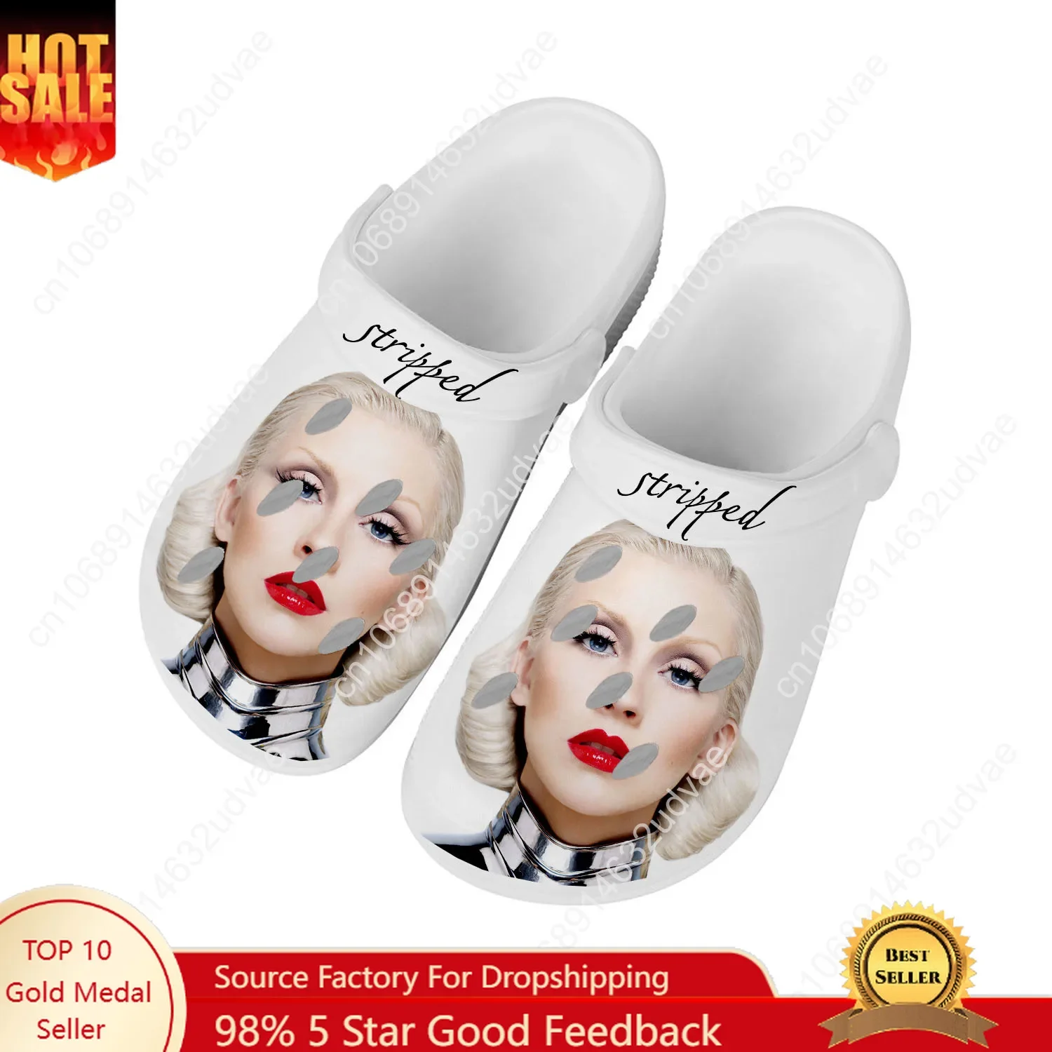

Christina Aguilera Water Shoes Men Women Teenager Comfortable Home Garden Clogs Custom Sandals Beach Breathable Hole Slippers