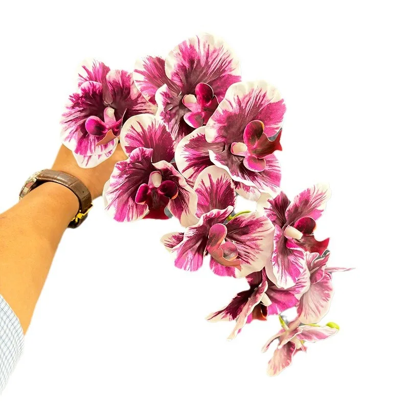 فرع زهرة فالاينوبسيس الاصطناعي بطباعة ثلاثية الأبعاد نبات الأوركيد ذو اللمس الحقيقي لتزيين حفلات الزفاف والمنزل