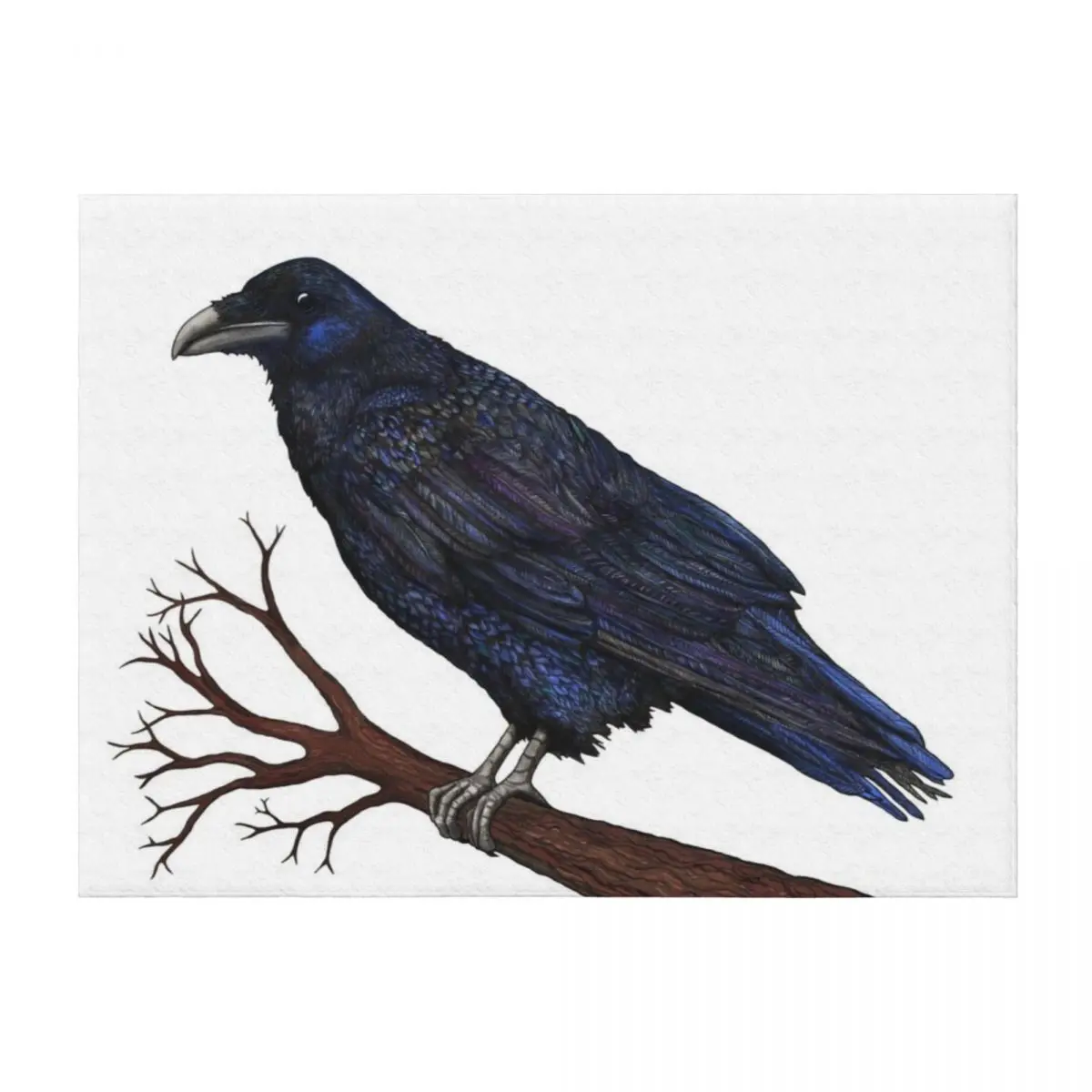 

Raven Throw Blanket Luxury Blankets Sofas Of Decoration Hairy Decorative Beds Blankets