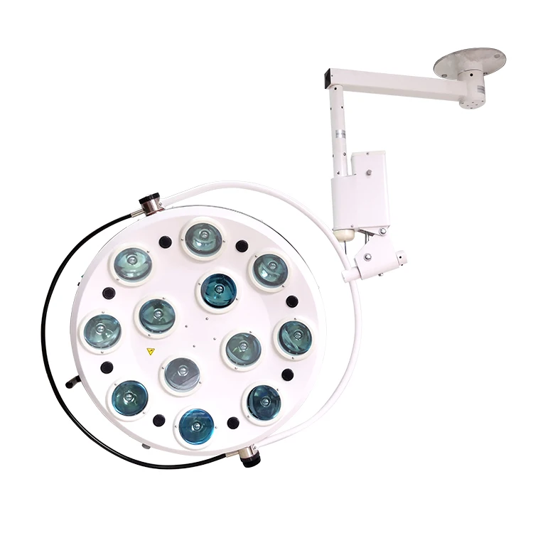 EUR VET Factory Price Medical Ceiling Mounted Surgical Lamp Shadowless LED Operating Light For Veterinary