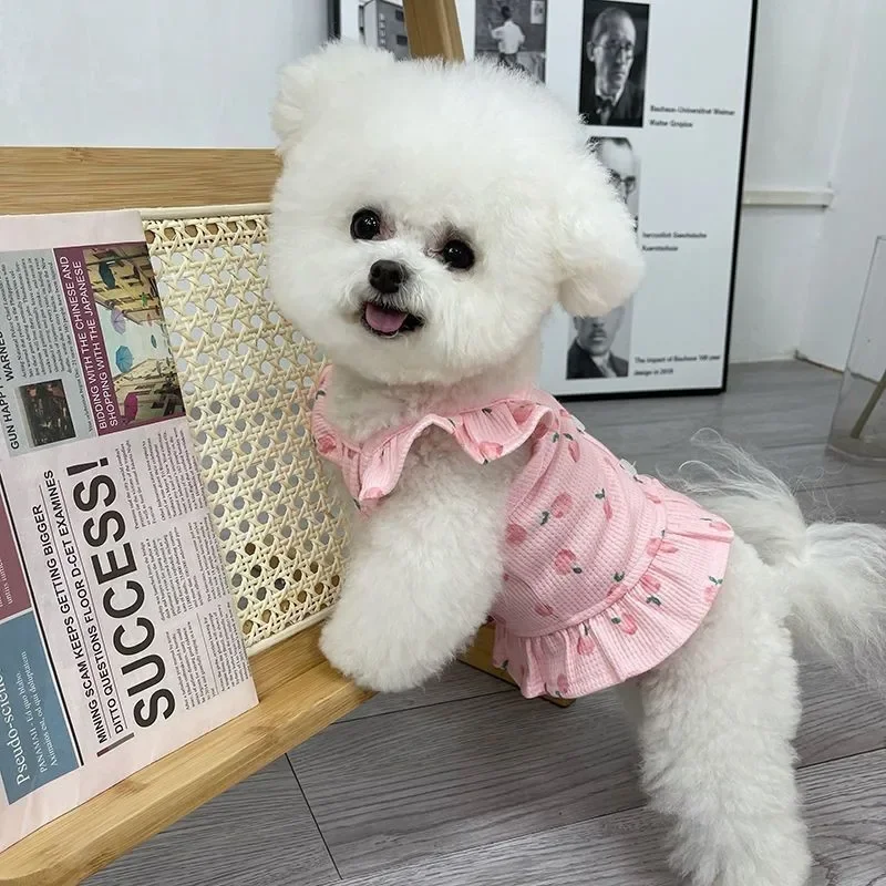 Pet Princess for Dog Small Dog Clothes Wedding Dress Princess Dress Spring Summer Soft Sweet Flying Sleeves Skirt Pet Clothes