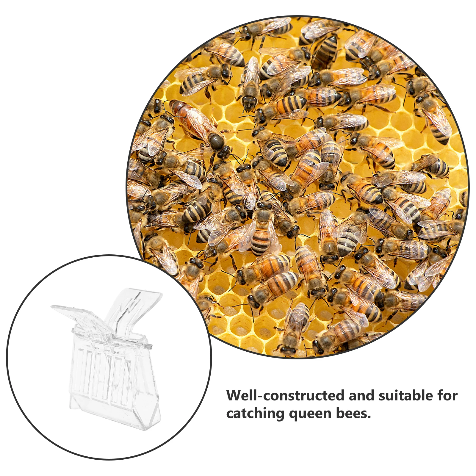 

5pcs Plastic Bee Queen Catcher 6.6*5.1*4.8Cm Transparent Hive Tool For Catching Beekeeping Equipment Clips Garden