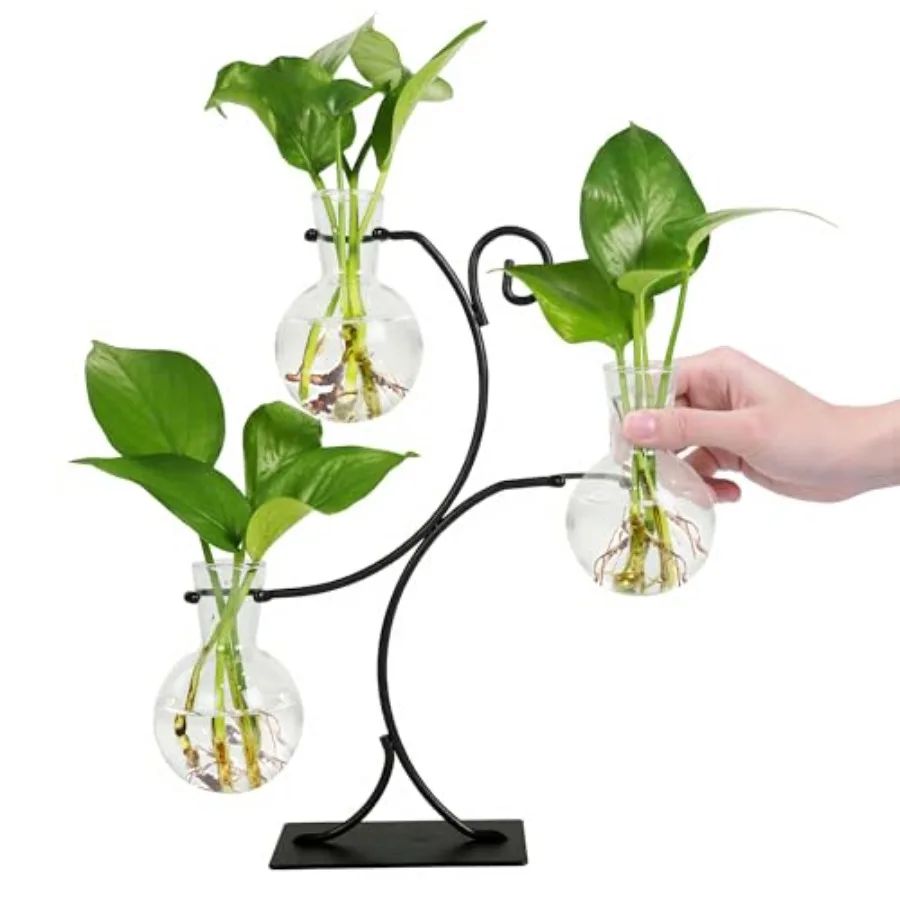

2025 New Desktop Plant Propagation Stations Plant Terrarium with Metal Stand 3 Bulb Glass Propagation Vases for Hydroponic Plan