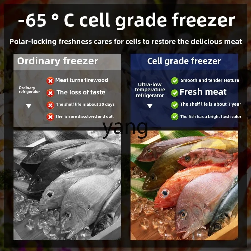 فريزر المأكولات البحرية LMM سلبي 60 درجة فريزر أفقي منزلي ذو سعة كبيرة