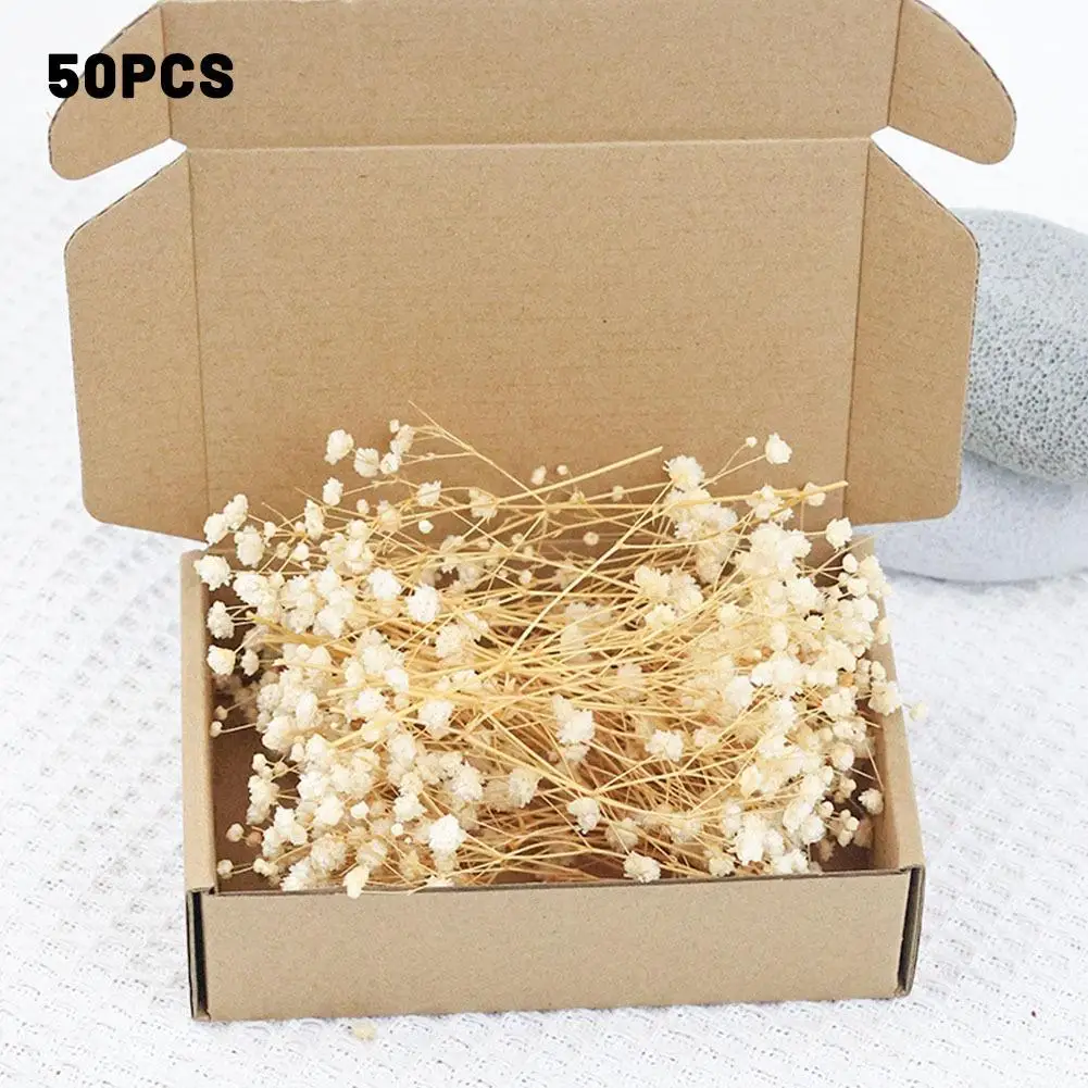 Bunga Kering 50pcs Gypsophila Baby's Breath Bunga Abadi Alami Kreatif DIY Rangkaian Bunga untuk Dekorasi Pernikahan Rumah