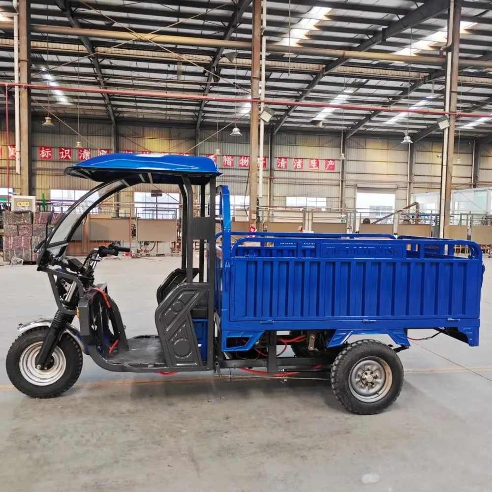 Electric Cargo Tuktuk Adult Open Body Three-Wheel Passenger Tricycle, Eco-Friendly City Commuter Vehicle view 6