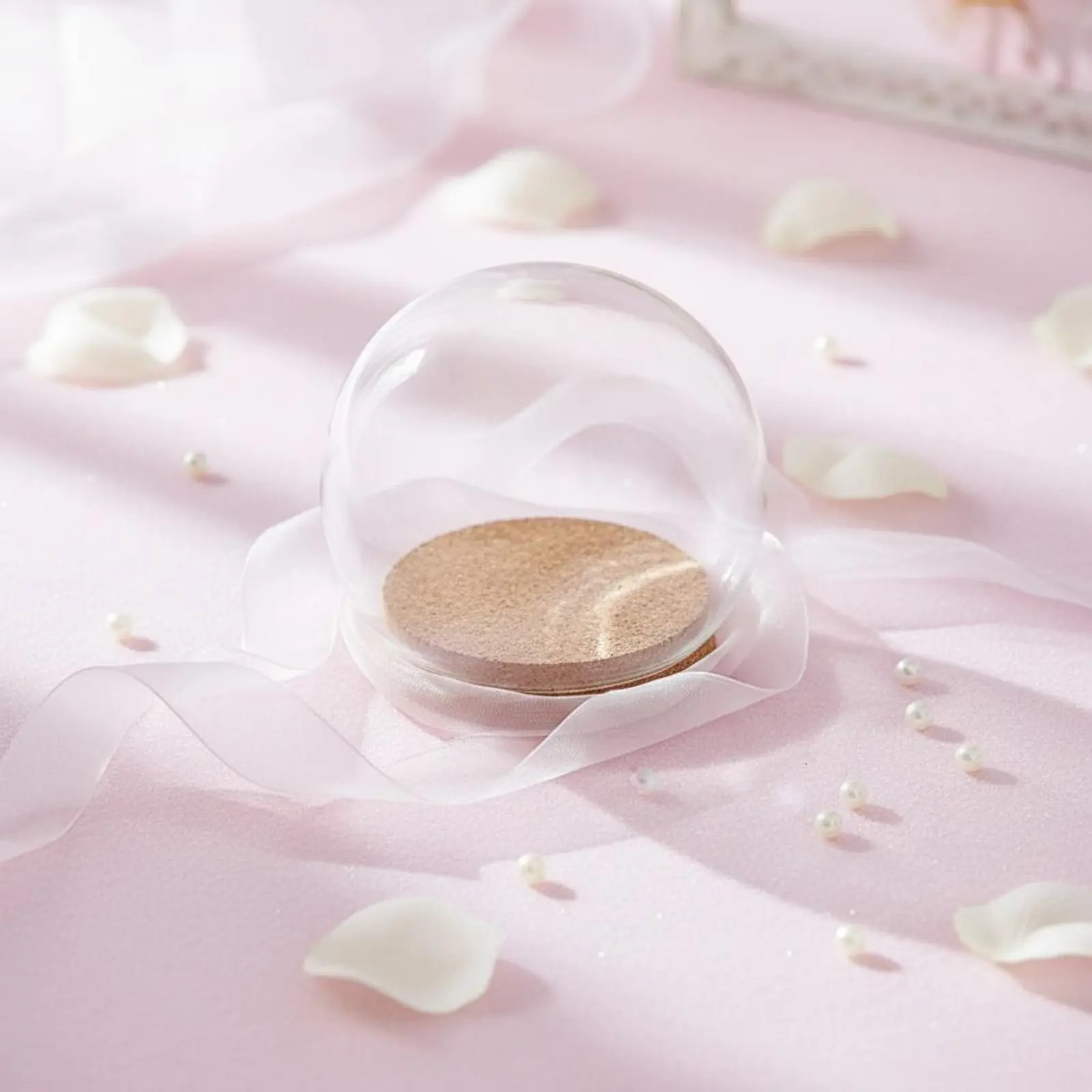 

Glass Dome Cork Base Modern Minimalist Design Glass Display Dome Cover Jar with Cork Base DIY Undertaking Ready Cover Jar