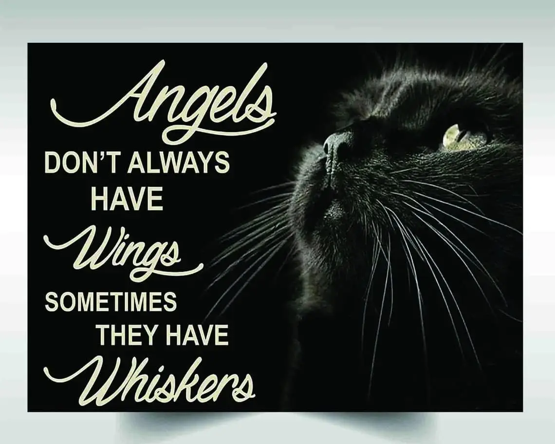 Cat Angels Don't Always Have Wings Sometimes They Have Whiskers.webp Retro Signage Pub Cafe Restaurants Man Cave Wall decora