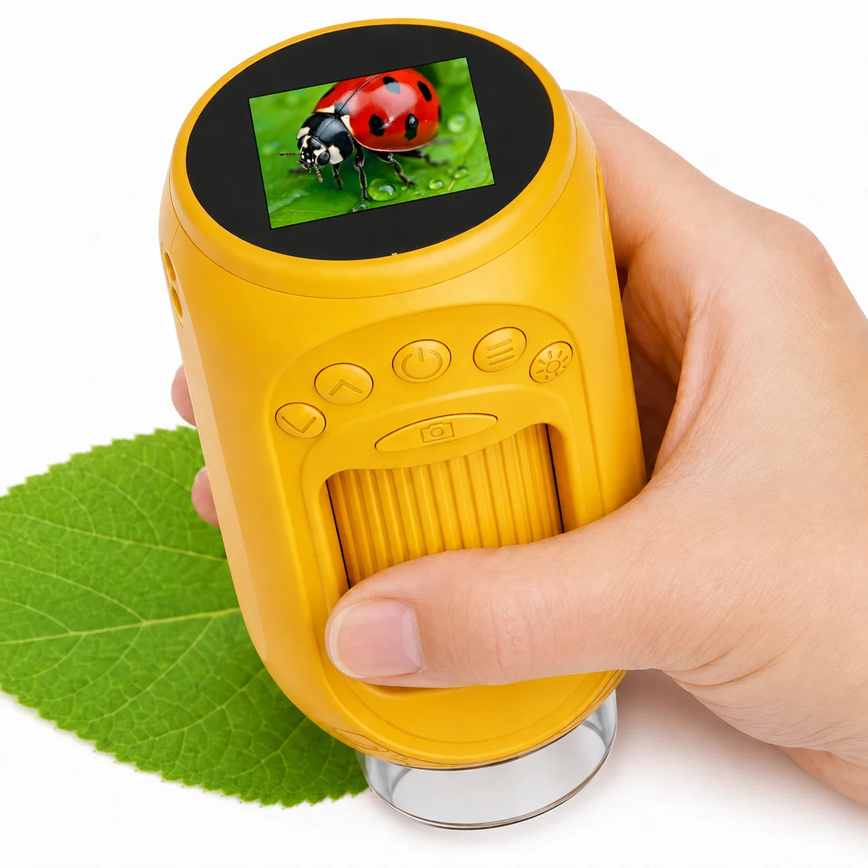 Education Kids Definition - Mini-Digitalmikroskop für Kinder, 1000-fach, Handmikroskop, STEM-Spielzeug,