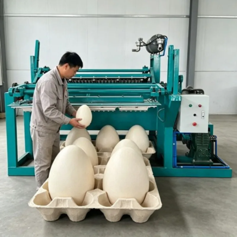 For Commercial Factory Egg Tray Machine Pulp Forming Equipment Waste Paper Recycling Production Line 5000pcs/h