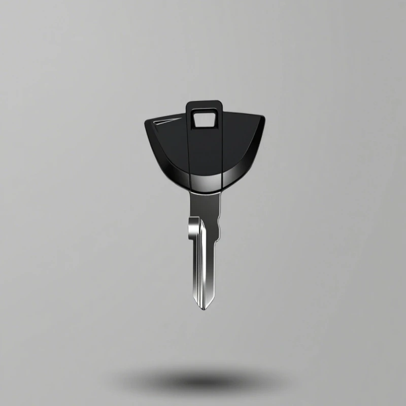 

Для BMW G310GS G310R 310R C600 Sport C650GT пустой ключ можно разместить противоугонный оригинальный ключ для мотоцикла, замена необрезанных ключей