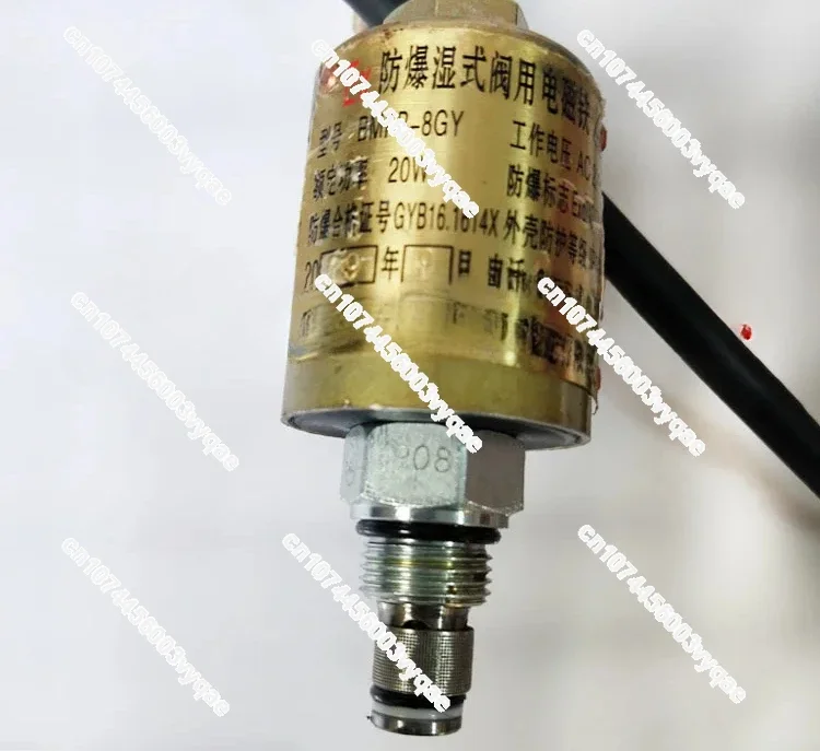 Electromagnetic Valve, Explosion-proof, Wet Valve, Electromagnetic Valve, BMFB-40BY, BMFB-8GY, BMFB-55BY