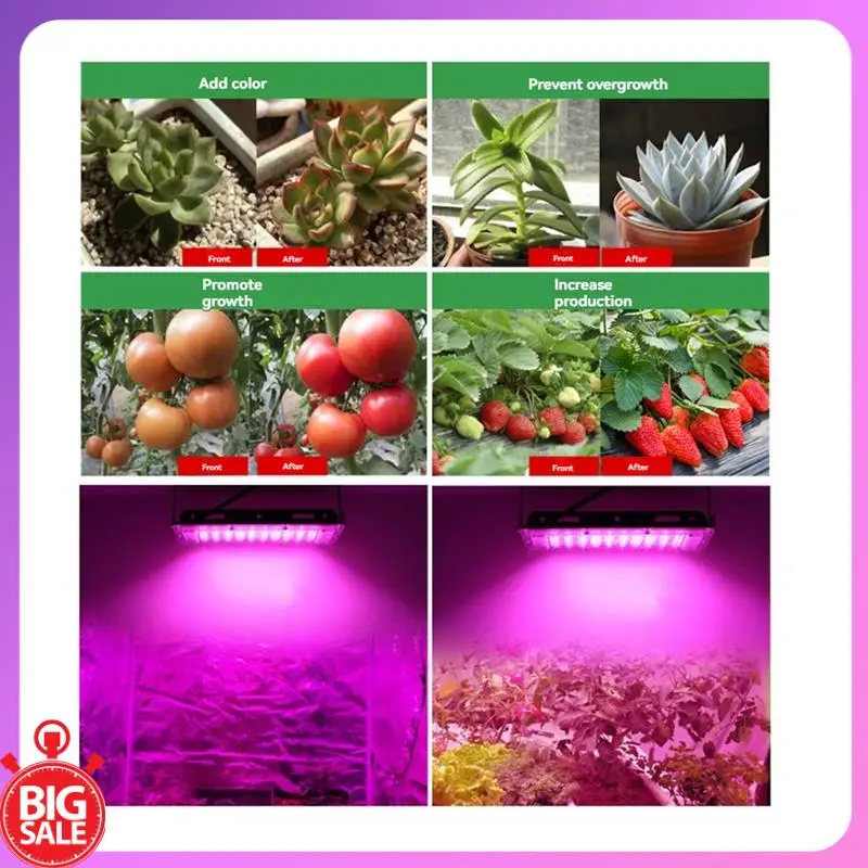 Big Deal For Plants 200W LED Grow Lamp Full Spectrum Phyto Lamp Greenhouse Growth Lighting  Wire Plug