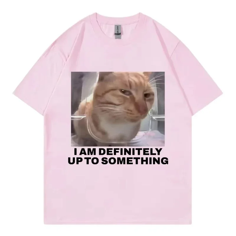 Soia definitivamente hasta algo divertido gato Meme camiseta moda de venta al por menor tendencia mujer Casual Harajuku manga
