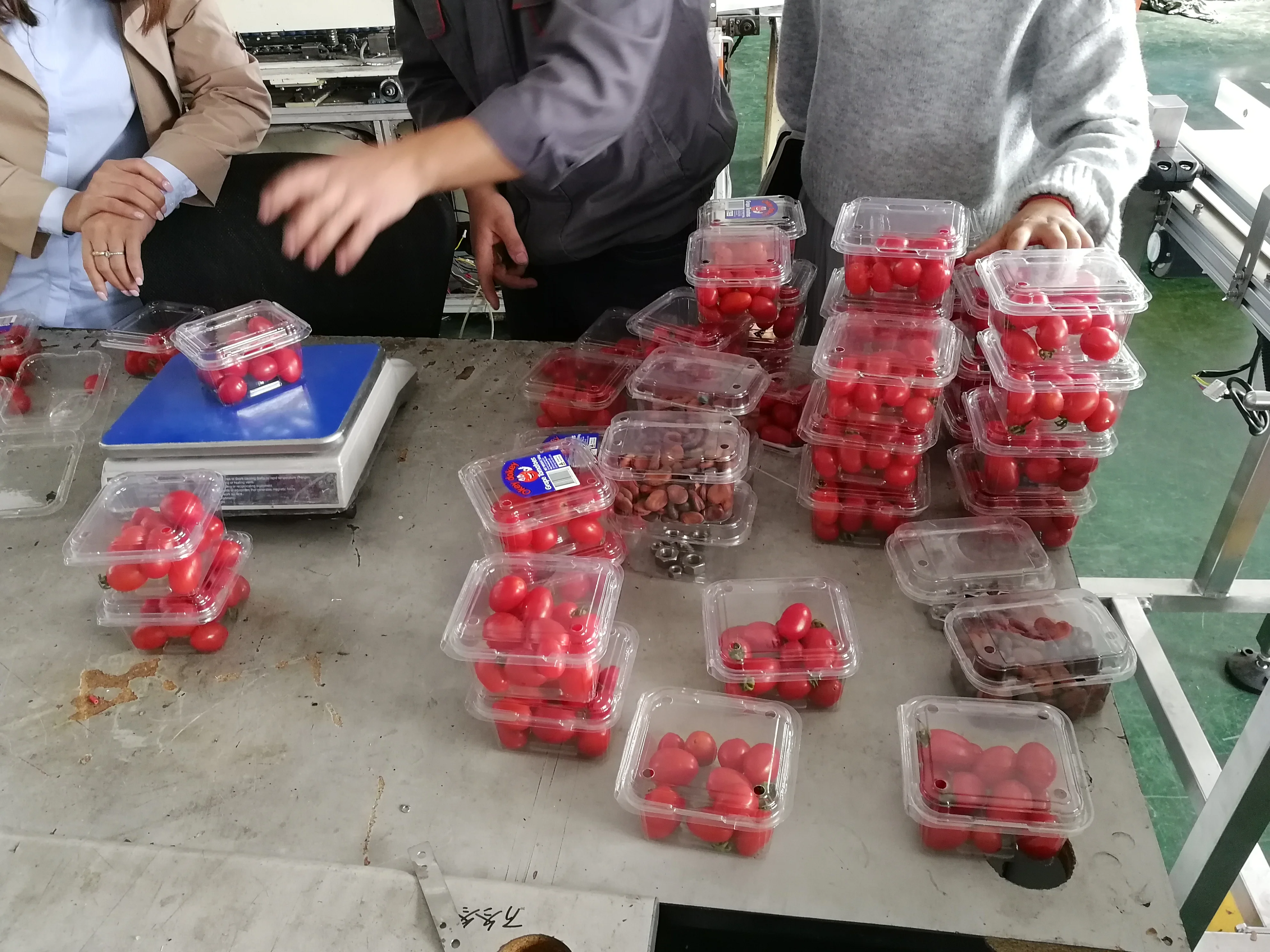 เครื่องชั่งน้ำหนักอัตโนมัติ 10/14 หัว สำหรับมะเขือเทศเชอร์รี่ในถาดพลาสติกแบบฝาพับ เครื่องชั่งแบบหลายหัวสำหรับเครื่องบรรจุภัณฑ์