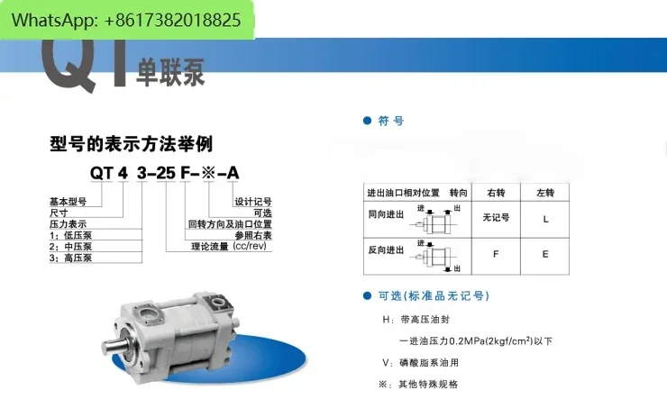 Bomba de engrenagem dupla QT5142-125-31.5 Bomba de engrenagem interna