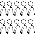10PCS