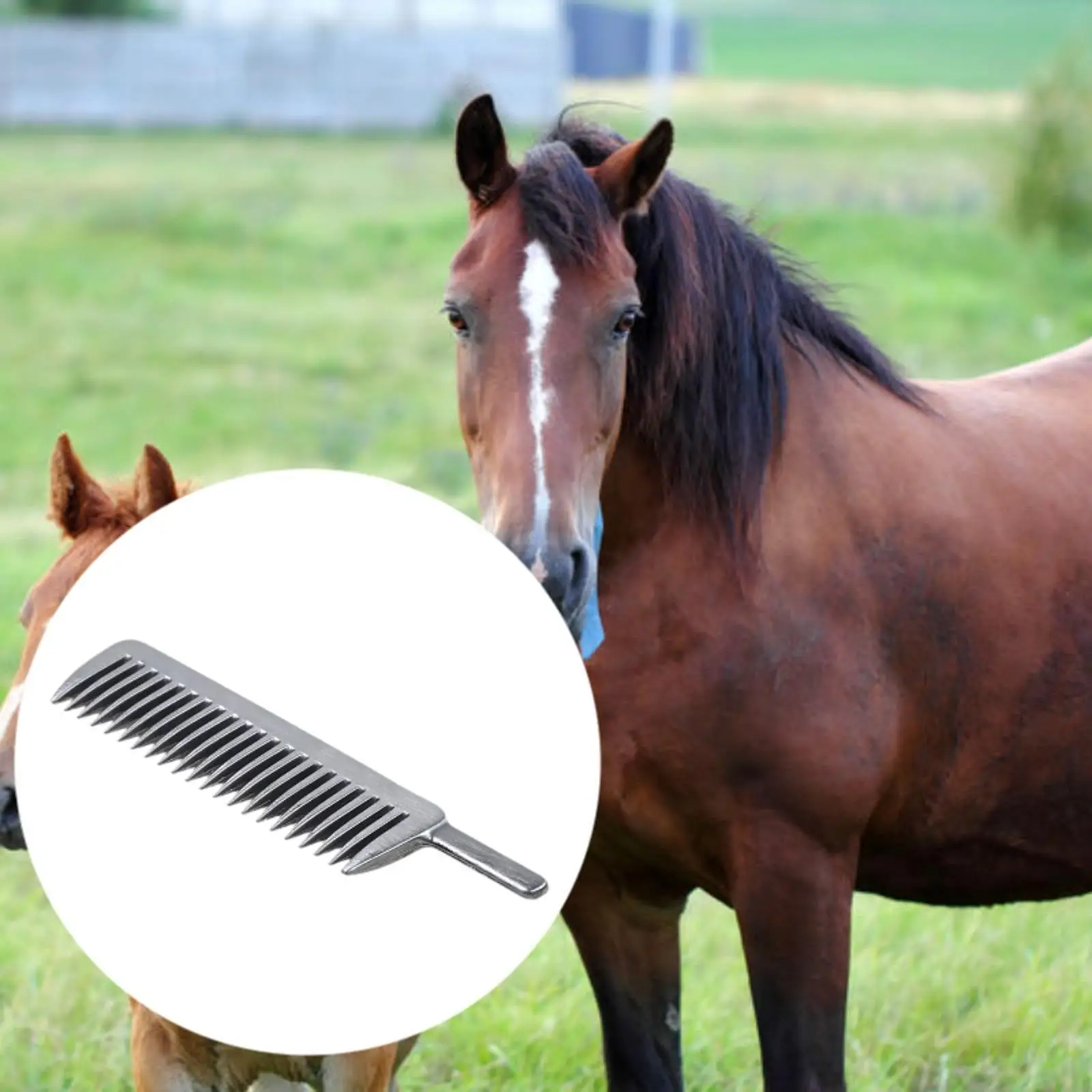 Horse Grooming Comb Aluminum Horse Brush Pet Supplies Care Tool Horse Comb