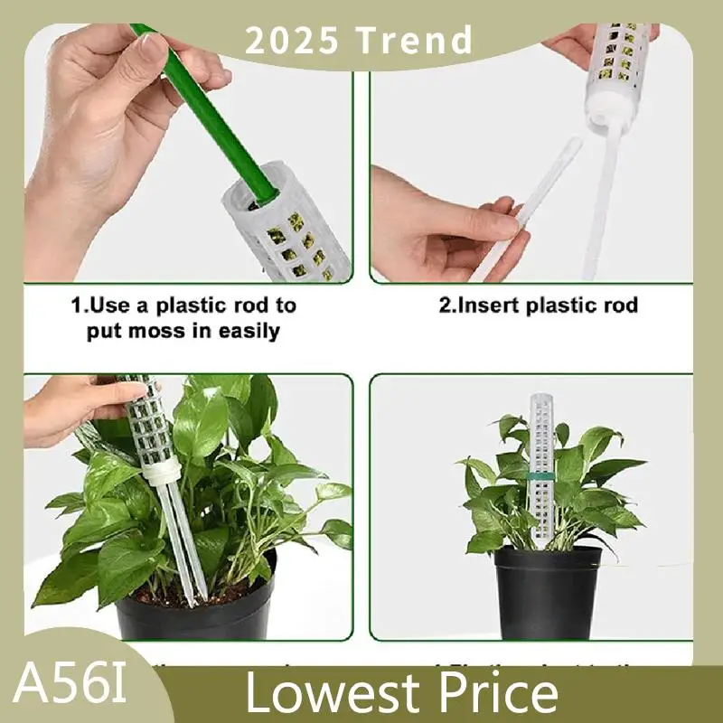 

Moss Stake For Climbing Plants Climbing Plant Support Moss Stake Reinforcement Angle Design Plant Stakes Durable Easy To Use