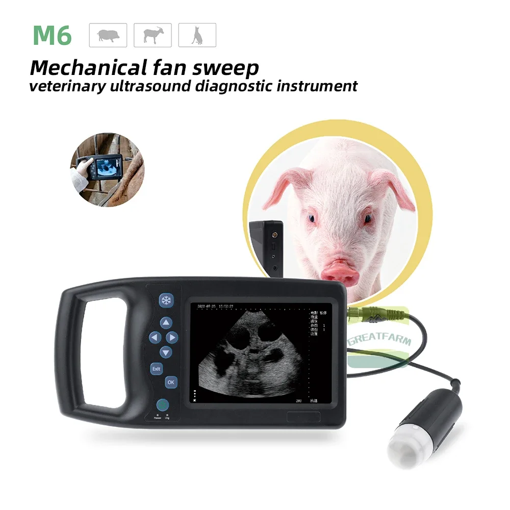 3 Years Warranty M6 Veterinary Scanning B-Ultrasound Instrument Machine Veterinary Ultrasound Portable Ultrasound