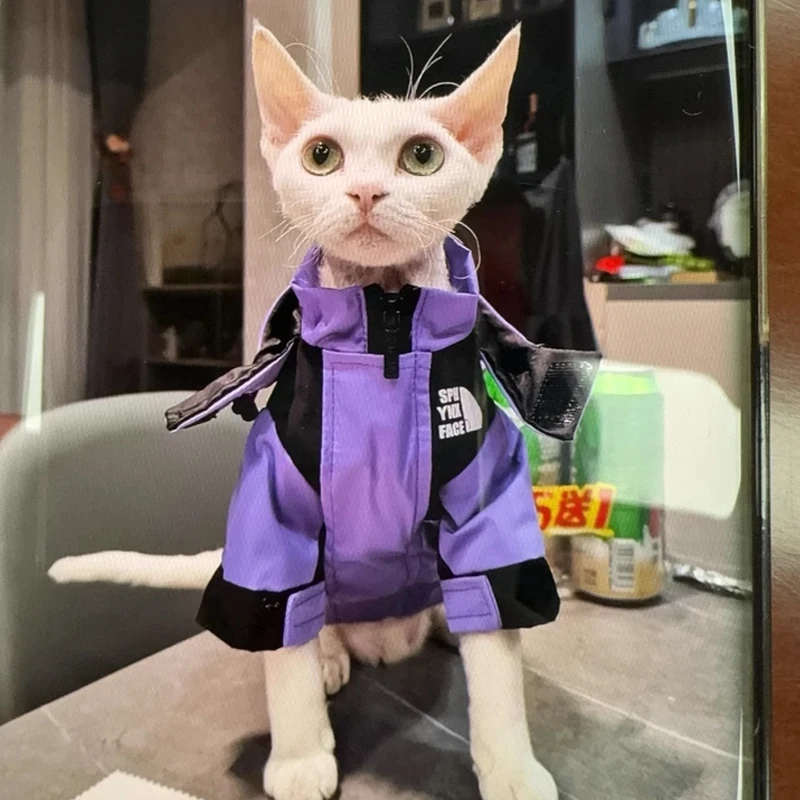 

New Fashion Sphynx Cat Outdoor Jacket Printing Windproof Kitten Clothes Waterproof Costumes For Sphinx Devon Cats ropa para gato