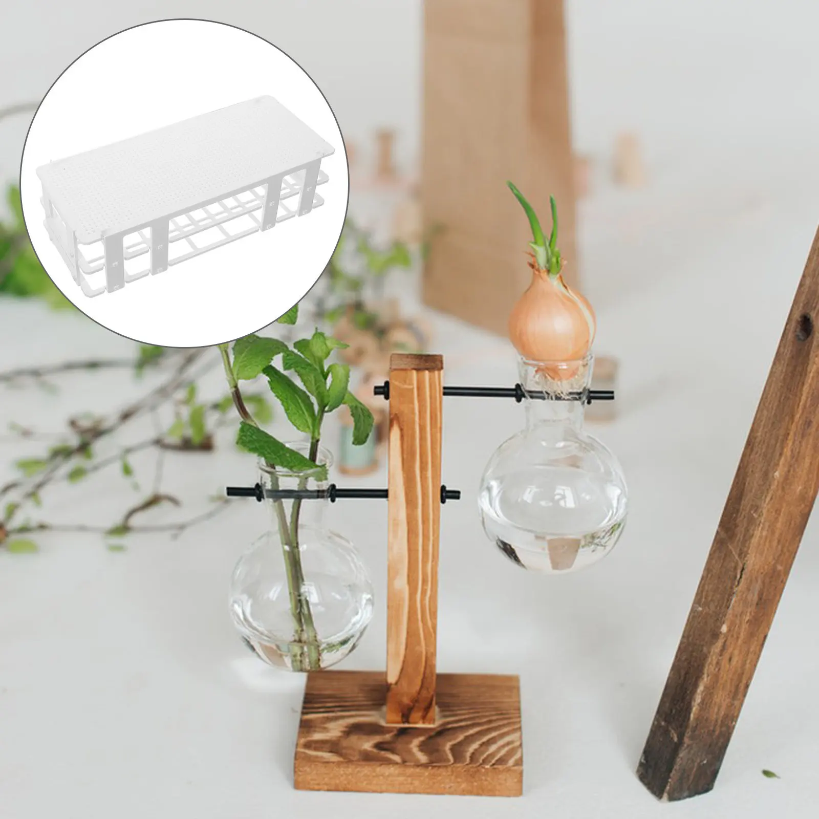 Hydroponic Glass Tube Rack Plastic Display Stand for Water Plants Test Tubes Transparent Porous Design Aesthetic Home Decor