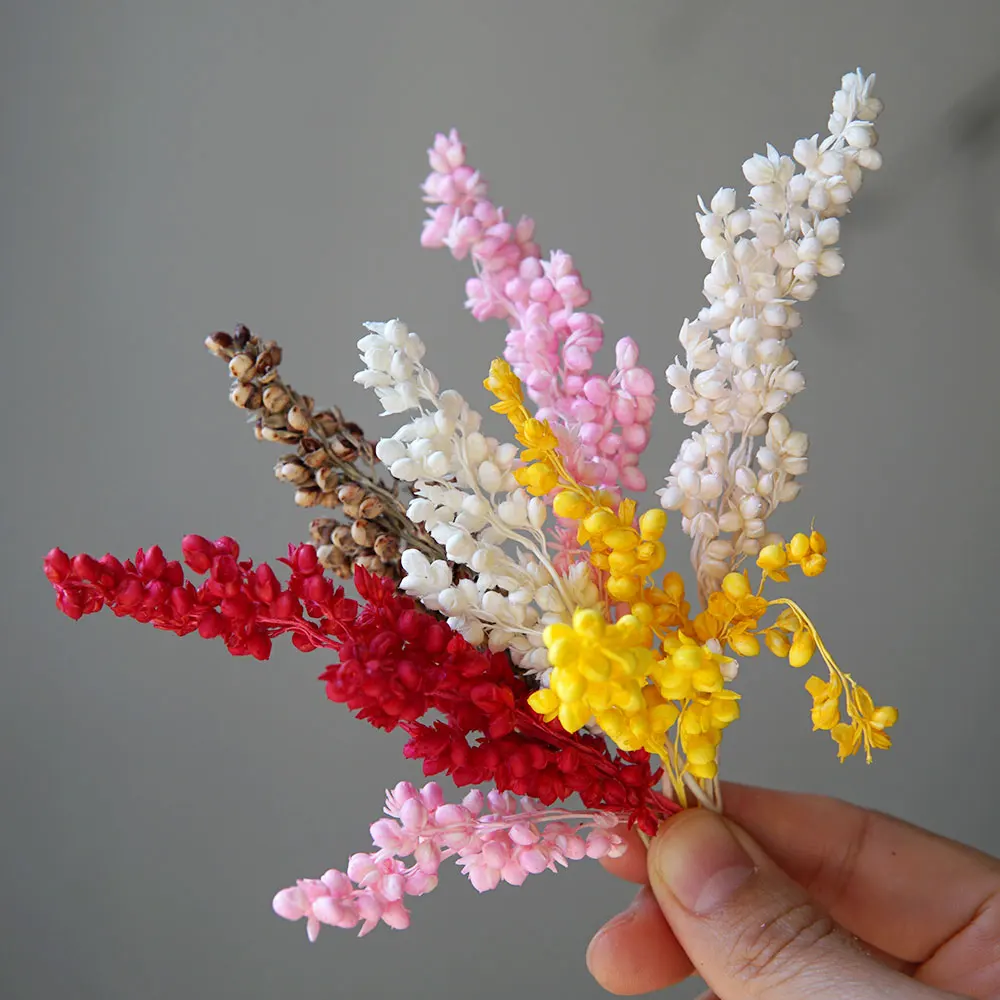 True Plant Dyeing Big Broomcorn Nature Dried Fruits Handmade Crafts Materials Resin Aromatherapy Candles Material
