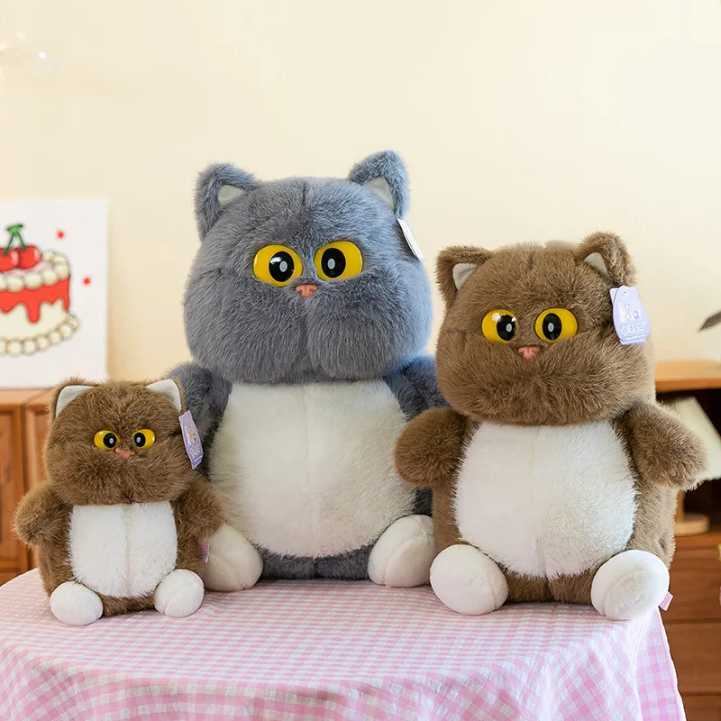 24 cm dessin animé grands yeux chat en peluche poupée doux moelleux chat Animal en peluche jouet Kawaii mignon chat en peluche traversin poupée enfant cadeau d'anniversaire
