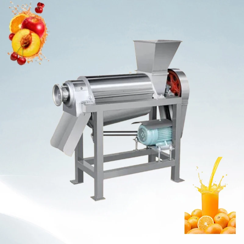 

Automatic Professional Cold Press Fruit Vegetable Portable Fresh Juicer Blender