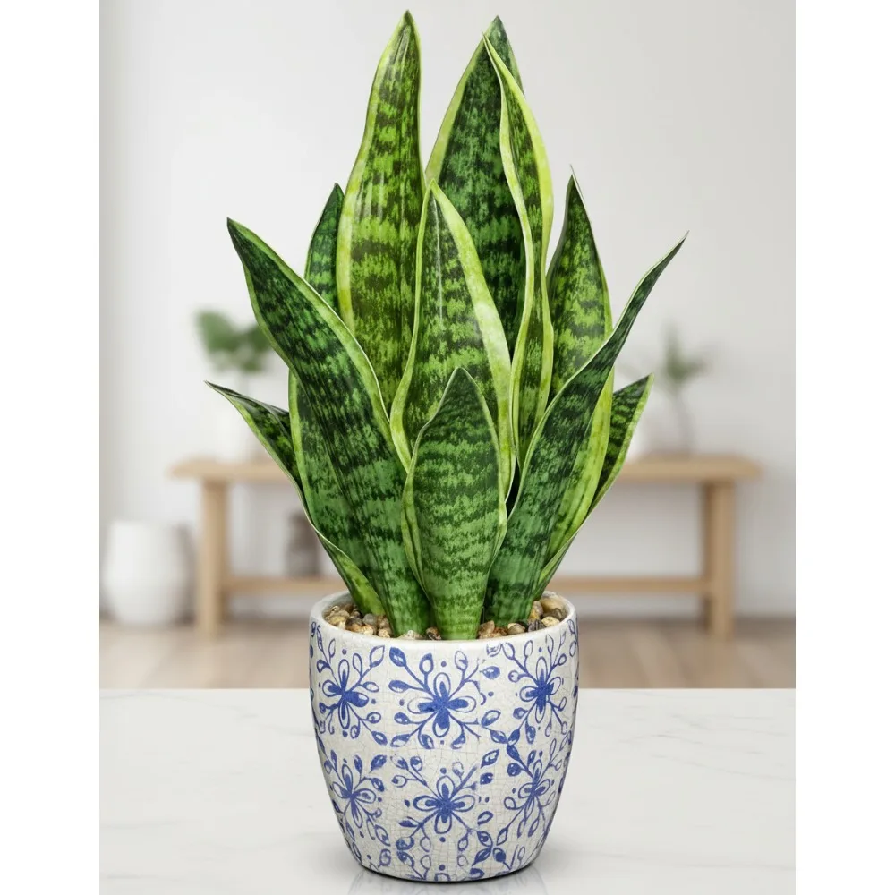 نبات الثعبان الاصطناعي في وعاء أزرق أبيض، 15.7 بوصة من Sansevieria لديكور المنزل والمكتب هدية الانتقال لمنزل جديد #1