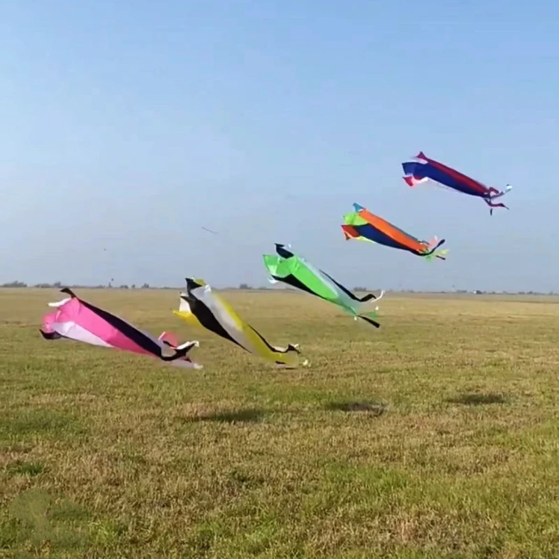 Free Shipping 240cm windsocks flying for kids kites factory Power kite Gaori kyen colorful flying kites electric flask funny