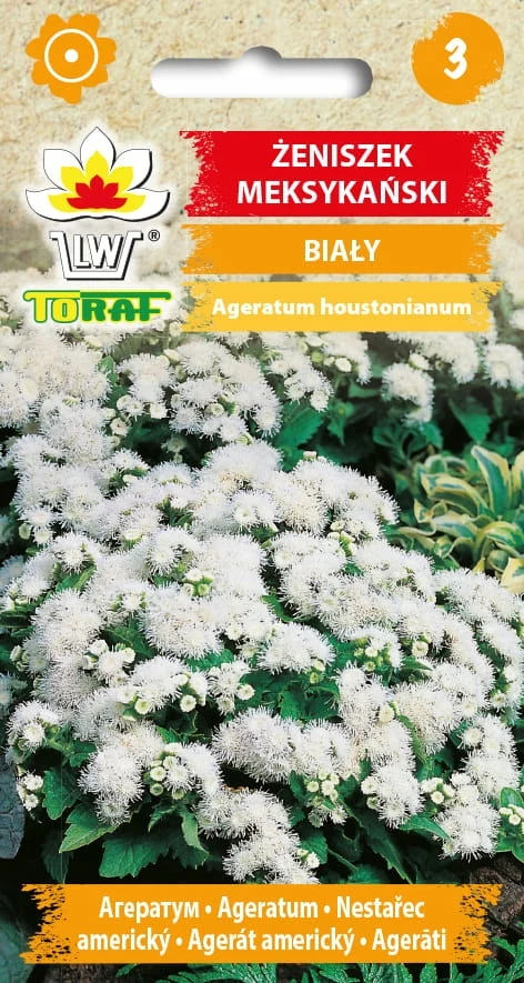 Mexicaanse witte bloemenzaden-684 Toraf