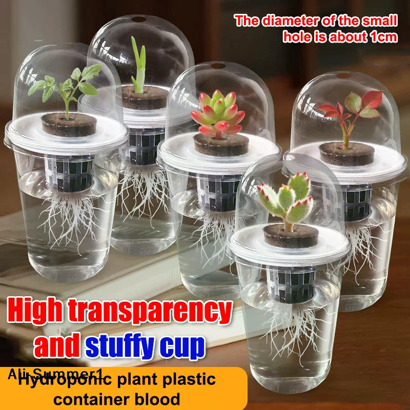 【E】1/3Sets Plastic Material Hydroponic Seed Planter Pots Reusable Seedling Baskets Transparent Root View Cups Succulents Growing